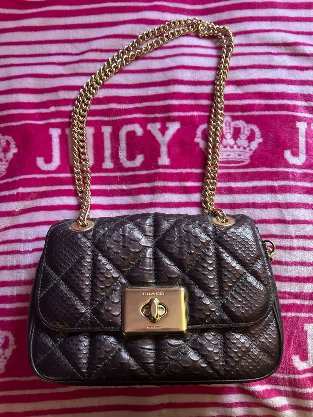 Coach Crossbody Bag
